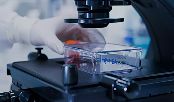 熱烈慶祝我司順利通過“專精特新”企業(yè)認定